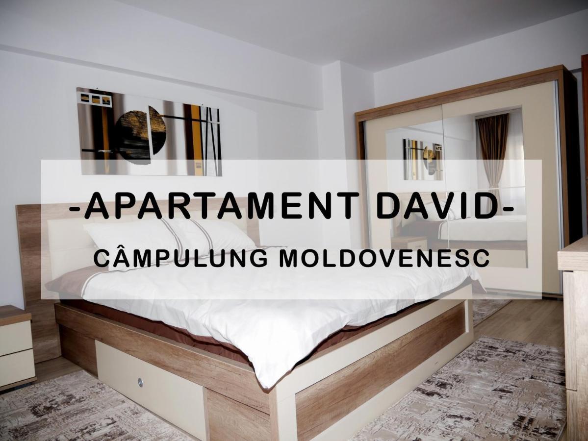 קאמפולונג מולדובנסק Apartament David מראה חיצוני תמונה